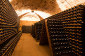 Wine Cellar