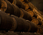 Wine Aging 101: Why Some Wines Improve Over Time