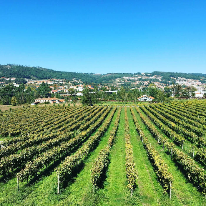 Wine Travel: Portugal and Vinho Verde