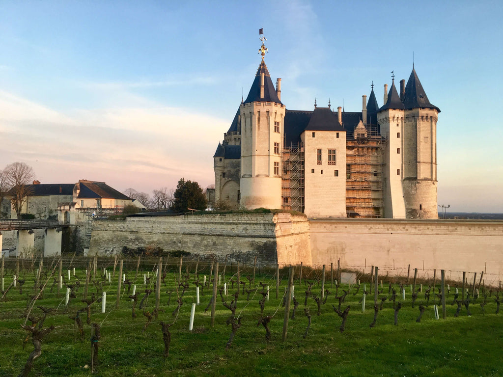 Discovering Treasures in Loire Valley
