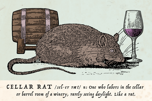 The Life of a Cellar Rat — Plume Ridge Bottle Shop
