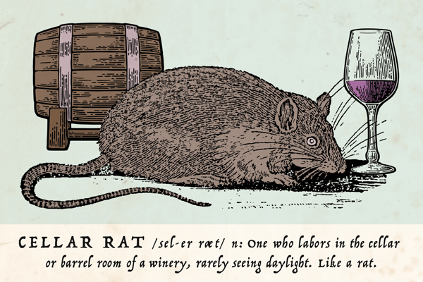 The Life of a Cellar Rat