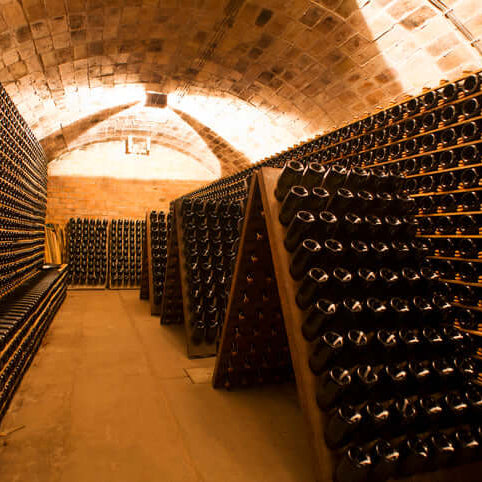 How to Organize Your Collection and Properly Store Your Wine