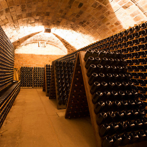 Wine Cellar