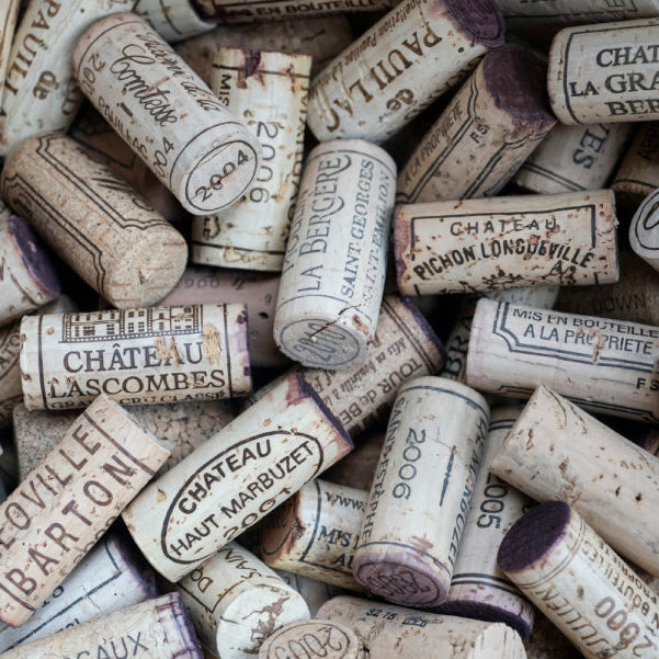 A Beginner’s Guide to Bordeaux Wines