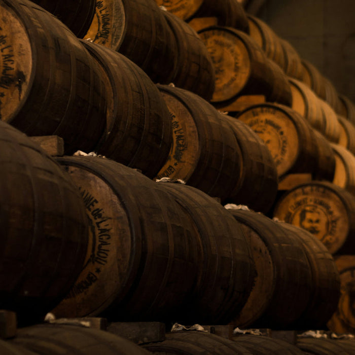 Wine Aging 101: Why Some Wines Improve Over Time