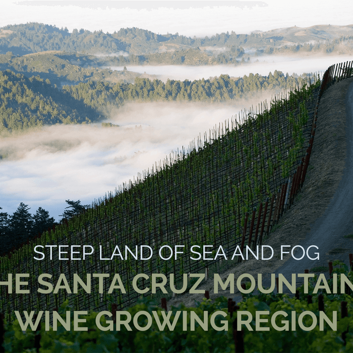 Land of Sea and Fog: The Santa Cruz Mountains Wine Growing Region