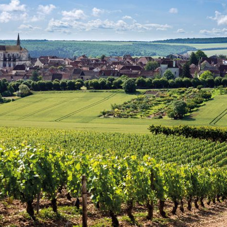 5 Fun Facts About Burgundy