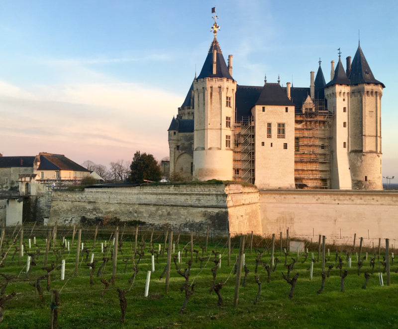 5 Fast Facts: Bordeaux