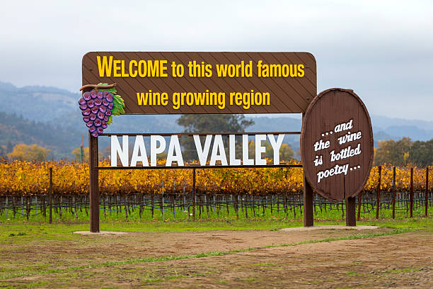 Facts About Napa Valley You Might Not Have Known