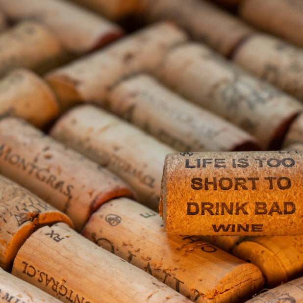 Plume Ridge Cluster Club