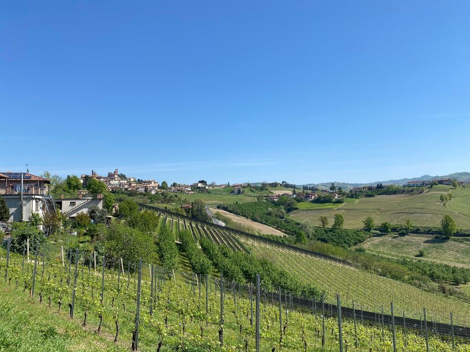 Vietti Rocche Di Castiglione Barolo DOCG 2020