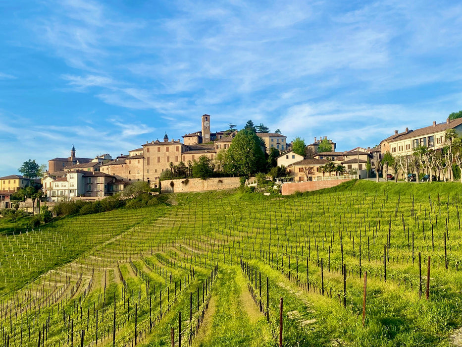 La Spinona Langhe Nebbiolo DOC 2020